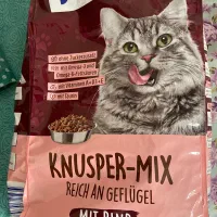 غذا خشک گربه