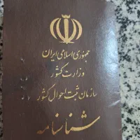 شناسنامه گم شده به نام ساسان نوروزی