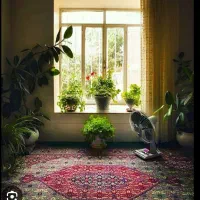 خانه ۲۵ متری مبله میدان سعیدی