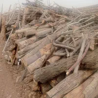 خرید چوب باغی سقفی به صورت|خدمات باغبانی و درختکاری|مشهد, توس (بلوار توس)|دیوار