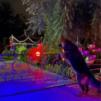 اجاره ویلای استخر دارد جاده قلعه رودخان