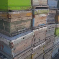 کندو|لوازم جانبی حیوانات|بیرجند, |دیوار