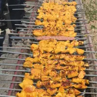 تنها تفرجگاه و اردوگاه جنگلی استان یزد.خضرآباد-بوز