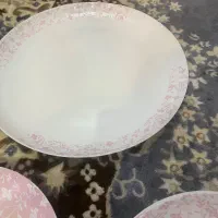 سرویس ارکوپال|ظروف سرو و پذیرایی|ری, شهادت|دیوار