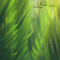 وام آماده به ضامن