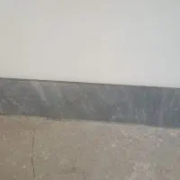 سنگ ساختمانی ویک نهال درخت گردو برای فروش دارم