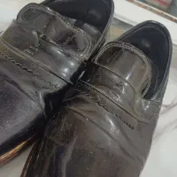 کفش مجلسی