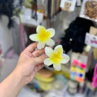 اکسسوری مو پایین ترین قیمت جشنواره عید تا عید