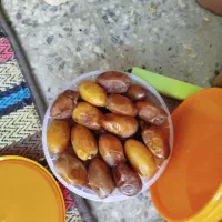 رطب عسلی طلای جنوب و خرما کبکاب مرکز ما هستیم