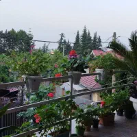 متراژ ۷۵ یک خواب بامالک