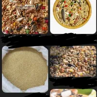 دان پرنده تجهیزات سهره رسمی سهره دورگ سهره کرمانی