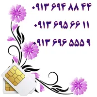 0913.5.2222.66|سیمکارت|اصفهان, تیران|دیوار