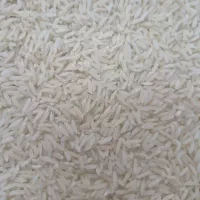 ۲۰ کیلوبرنج طارم هاشمی کشت۲