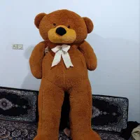 خرس تددی مخملی|اسباب‌‌بازی|نوشهر, |دیوار