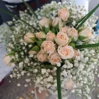 میوه ارایی ودیزاین خنچه عروس باکس فقط ۱۰۰هزار|خدمات پذیرایی، مراسم|مشهد, یوسفیه (شهرک غرب)|دیوار