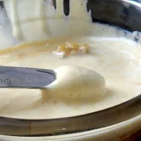عسلِ درخت کنار