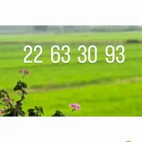 خط ثابت نسبتا نو دروس|تلفن رومیزی|تهران, اختیاریه|دیوار