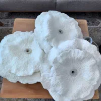 اینه قدی و کنسول لوستر|آینه|تهران, شهرک آتی شهر|دیوار