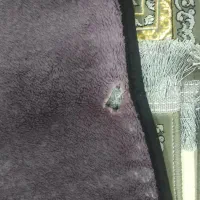 بالشت زیر سری|رختخواب، بالش، پتو|زاهدان, |دیوار