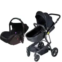 کریر و کالسکه دلیجان هرو