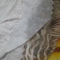 پرده ۲ در ۱/۵ طلایی ۱/۶۰ در ۱/۷۰