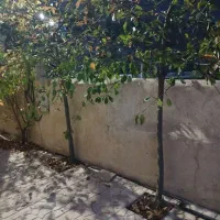 125-متر-زمین-60-متر-بنا-با-همه-امکانات-لواسان