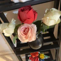 دکوری شیک|صنایع دستی و سایر لوازم تزئینی|مریوان, |دیوار