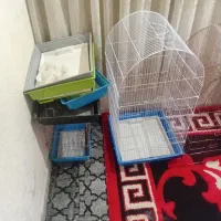 قفس پرنده