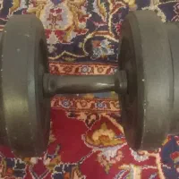 جفت دمبل ۲۰ کیلویی|تجهیزات ورزشی|هشتگرد, فاز ۲ مهستان|دیوار