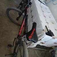 دوچرخه ۲۹ المپیا|دوچرخه، اسکیت، اسکوتر|لردگان, |دیوار