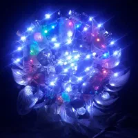 لوستر دوعدد بزرگ