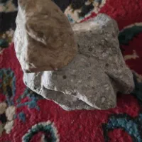 فروش انواع سنگهای شجر، عقیق، تزئینی، باستانی|کلکسیون اشیاء عتیقه|فشاپویه, |دیوار