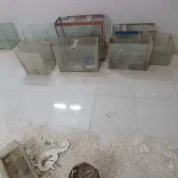 آکواریوم ماهی