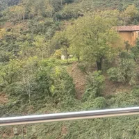 سرایدار جهت باغ ویلا