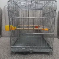 قفس سهره|لوازم جانبی حیوانات|تاکستان, |دیوار