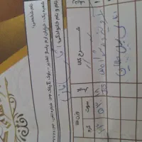 آویز و گوشواره گل