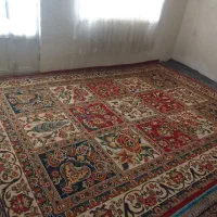 گلیم فرش ۱۲متری