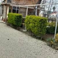 پیش ۵۰ میلیون و اجاره ماهیانه ۶میلیون|اجارهٔ دفتر صنعتی، کشاورزی، تجاری|چالوس, |دیوار