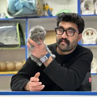 گربه ناز و ماوس‌