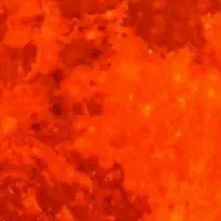 برنج فجر سوزنی