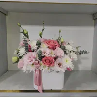 گل صورتی یواش در باکس سفید کد ۱۰۰۸ گلاریس