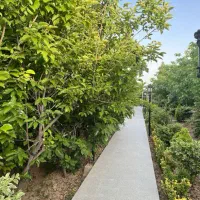 باغچه-500-متر-جنب-داشگاه-پردیس