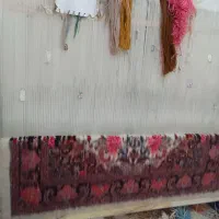 فرش دست بافت زنجان کد۸۸۳|فرش|هشتگرد, شهرک ولیعصر (مصلی)|دیوار