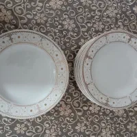 ظروف چینی پردیس