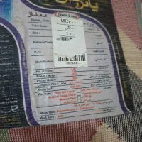 گلیم فرش|فرش|کرمانشاه, |دیوار