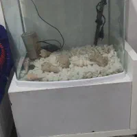 اکواریوم شرکتی شیشه خم درب دار