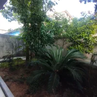 زمین-با-پروانه-جنب-خیابان-آزموده