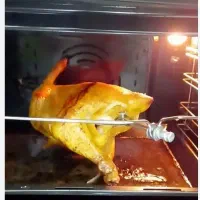 توستر|اجاق گاز و لوازم برقی پخت‌وپز|شوشتر, |دیوار