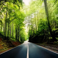 باغ ویلا مناسب سکونت کوی فرمانیه جاده چالوس