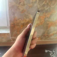 12پرو گلد|موبایل|مشهد, الهیه|دیوار